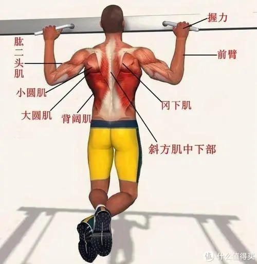 世界乒乓球台分布 世界乒乓球台分布